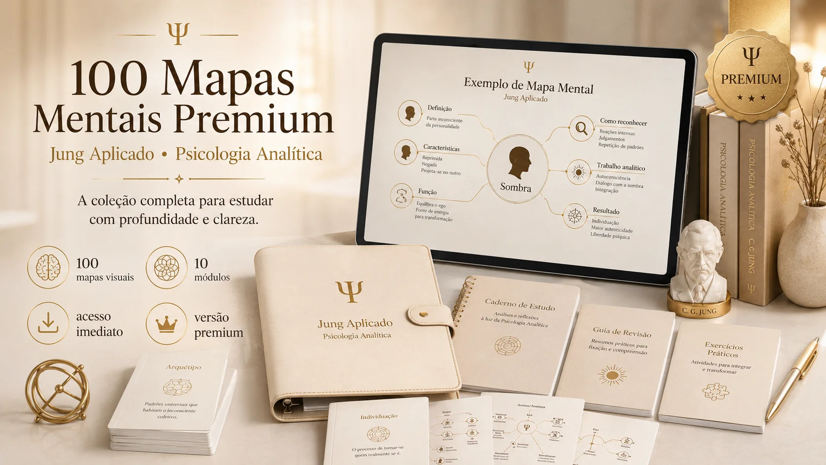 Coleção 100 Mapas Mentais Premium Jung Aplicado
